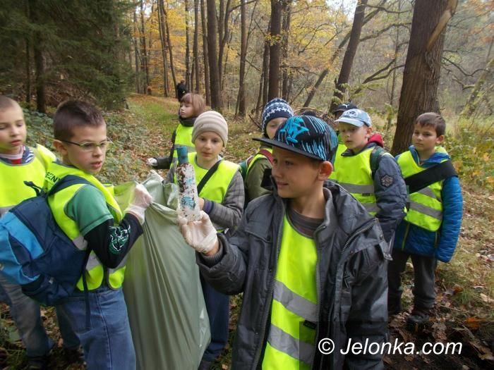 Jelenia Góra: Zebrali karmę dla zwierząt na zimę i posprzątali las