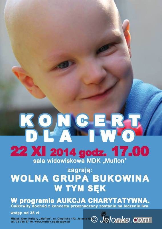 Jelenia Góra: Koncert dla Iwo już jutro!