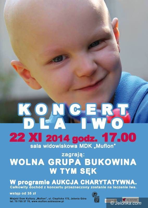 Jelenia Góra: Koncert dla Iwo już jutro!