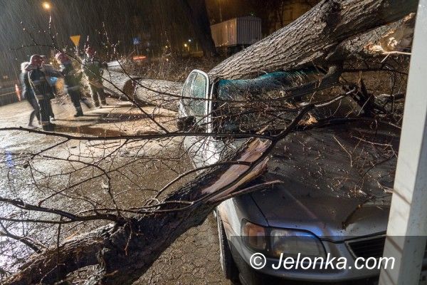 Jelenia Góra: Drzewo zniszczyło samochód w Jeleniej Górze AKTUALIZACJA