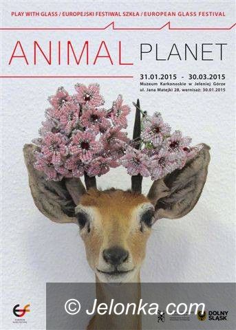 Jelenia Góra: Animal Planet w Muzeum Karkonoskim