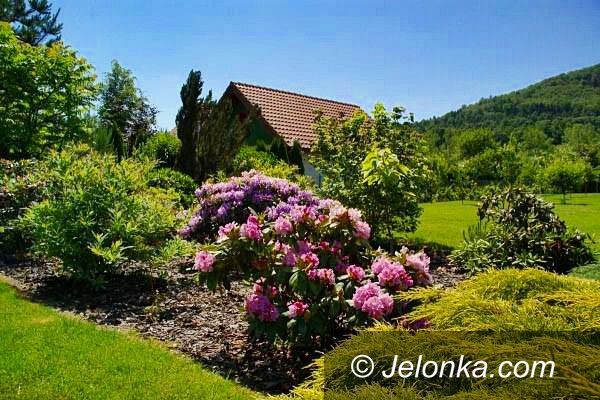 Jelenia Góra: Przydomowe ogródki w Sobieszowie nagrodzone