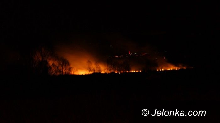 Jelenia Góra: Znowu plaga pożarów traw
