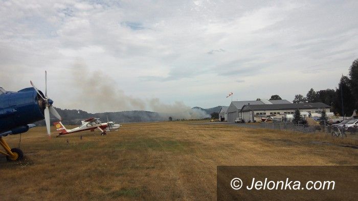 Jelenia Góra: Płonęły nieużytki w okolicy lotniska