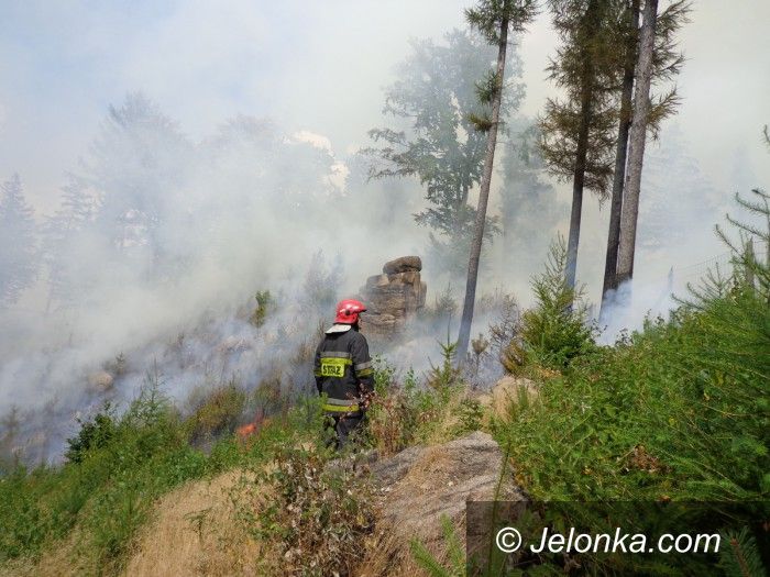 Region: Pożar lasu w Rudawach Janowickich