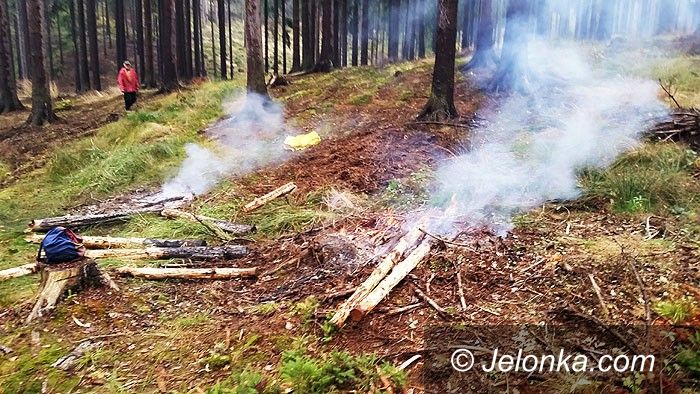Region: Czytelnik: Wypalali drewno w lesie!