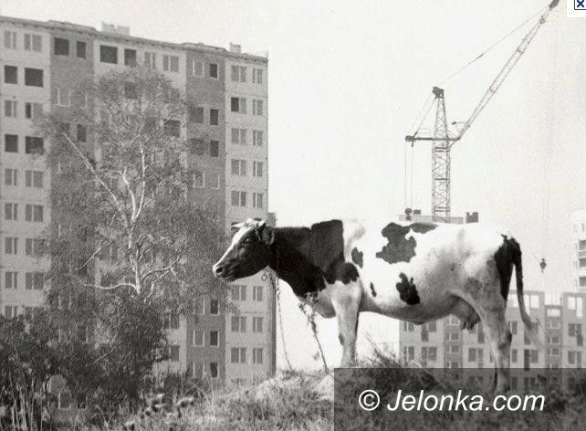 Jelenia Góra: Z dziejów Zabobrza – jak powstała dzielnica
