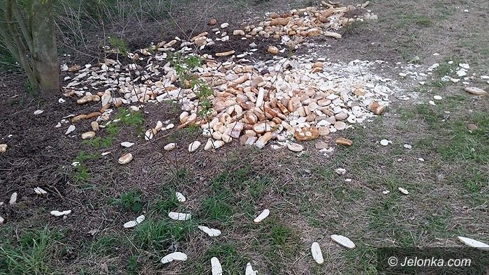 Region: Ktoś wyrzucił chleb do lasu zamiast oddać biednym