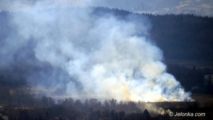 Region: Mniej pożarów traw za sprawą pogody
