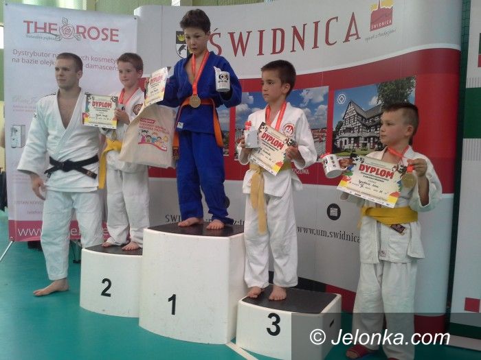 Świdnica: Medale naszych judoków w Świdnicy