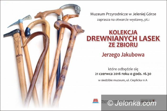 Jelenia Góra: Laski Jerzego Jakubowa w Muzeum Przyrodniczym