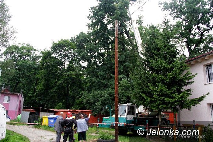 Jelenia Góra: Wichura  powaliła drzewo przy Lwóweckiej