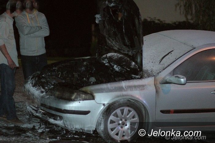 Region: Płonął samochód w Ściegnach