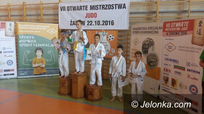 Żarów: Medale judoków w Żarowie