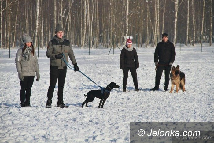 Jelenia Góra: W psim parku było darmowe szkolenie psów