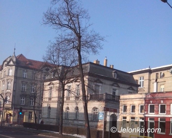 Jelenia Góra: Z Wojska  Polskiego ubędzie starych drzew