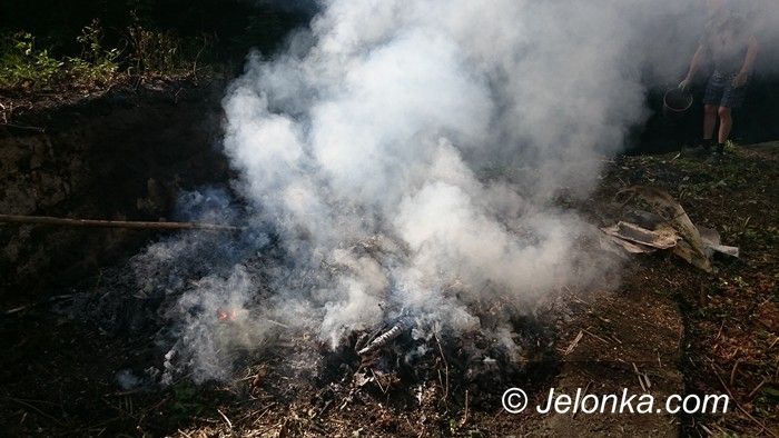 Jelenia Góra: Spalał śmieci na terenie posesji