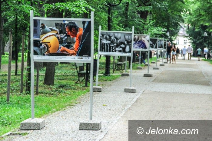 Jelenia Góra: "Julia" w Parku Zdrojowym – warto to zobaczyć