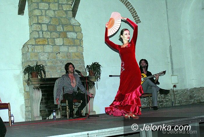 Region: Kolorowe i ekspresyjne flamenco w  Bukowcu