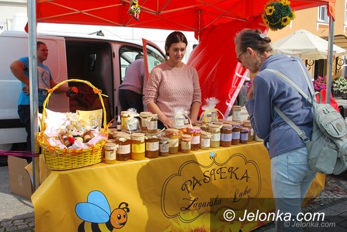 Jelenia Góra: Trwa regionalne święto pszczelarzy