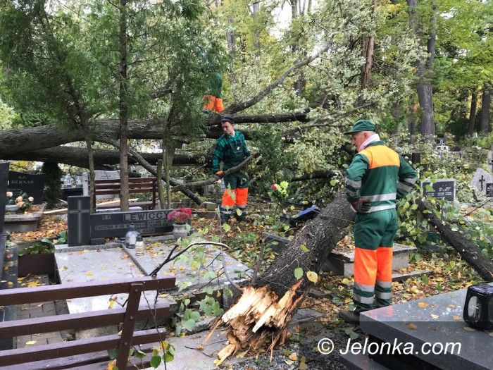 Jelenia Góra: Ksawery wyrwał drzewa na cmentarzu