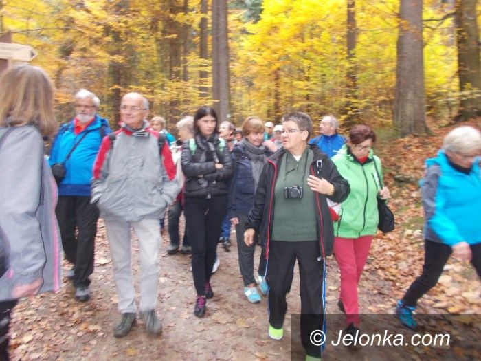 Region: Jesienny spacer w Koronach Drzew