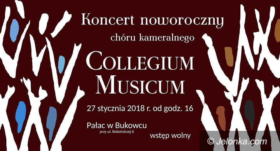 Region: Koncert noworoczny w Pałacu Bukowiec