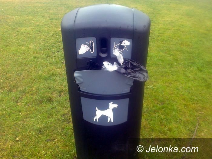 Jelenia Góra: Czytelniczka: Psi problem w parku przy ul. Morcinka