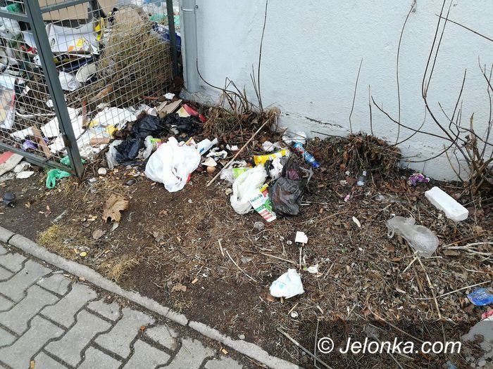 Jelenia Góra: Czytelniczka: Bałagan w boksie na odpady