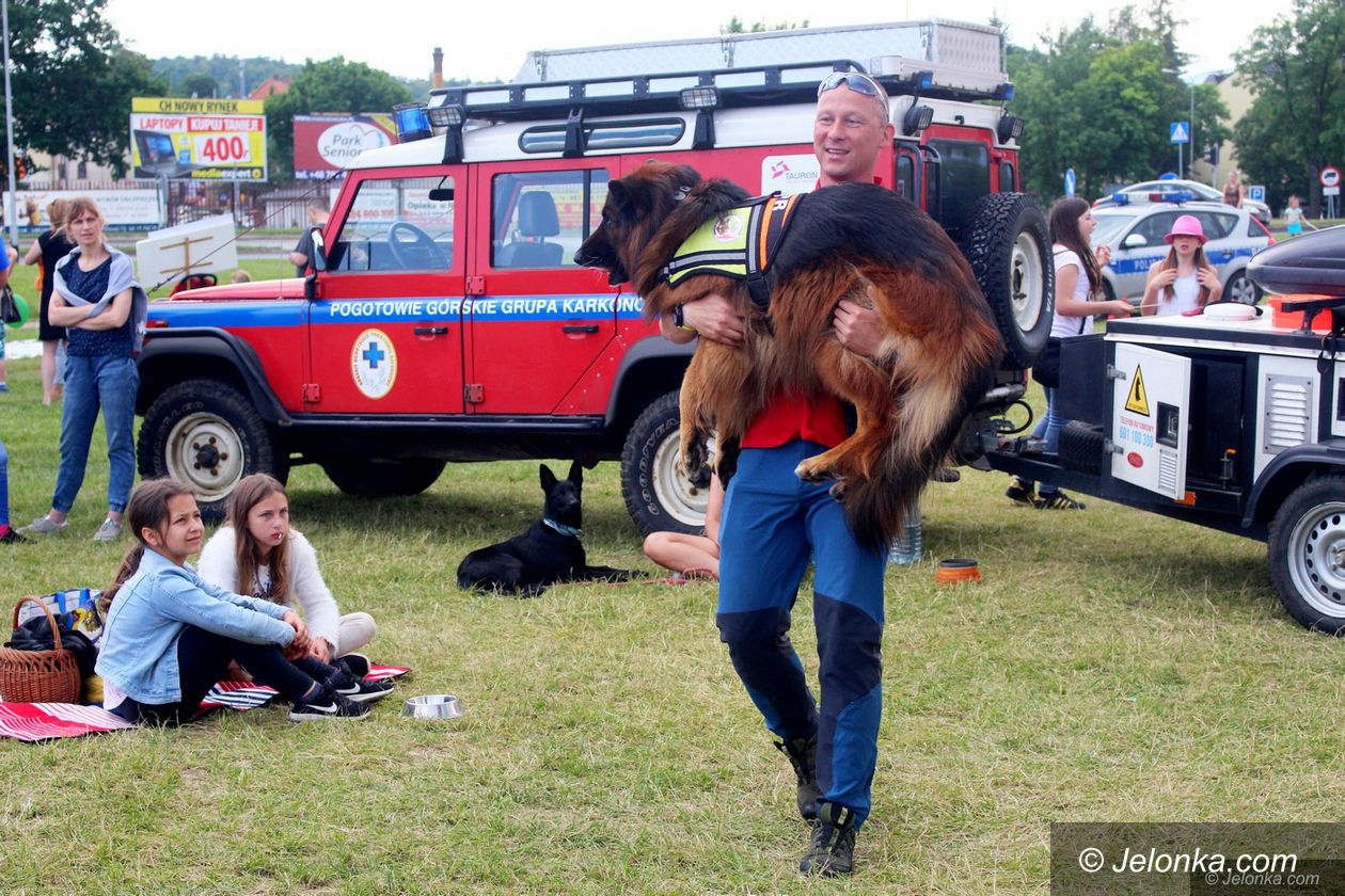Jelenia Góra: Oni kochają zwierzęta!