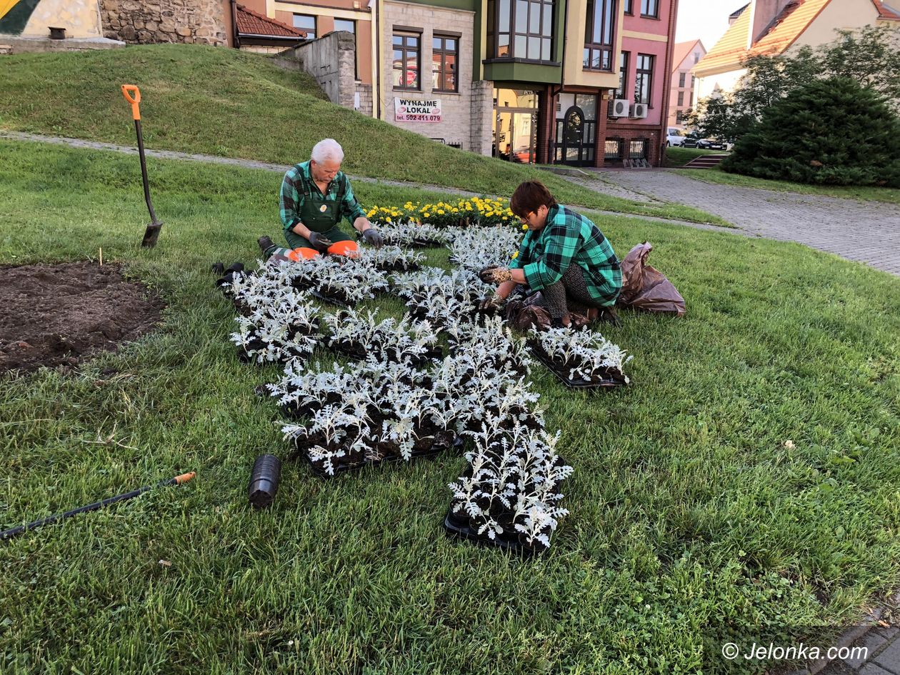 Jelenia Góra: W mieście codziennie przybywa kwiatów