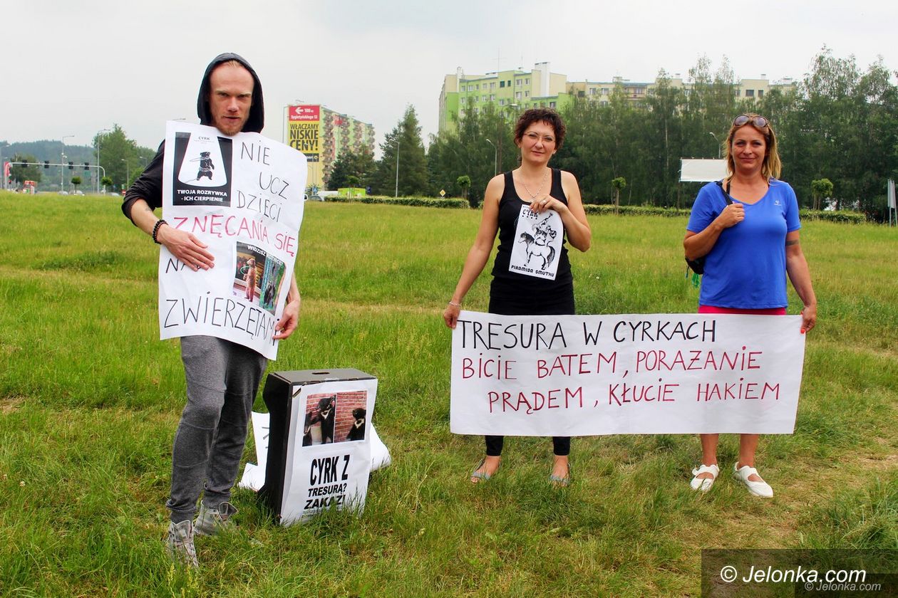 Jelenia Góra: Protestowali pod cyrkiem