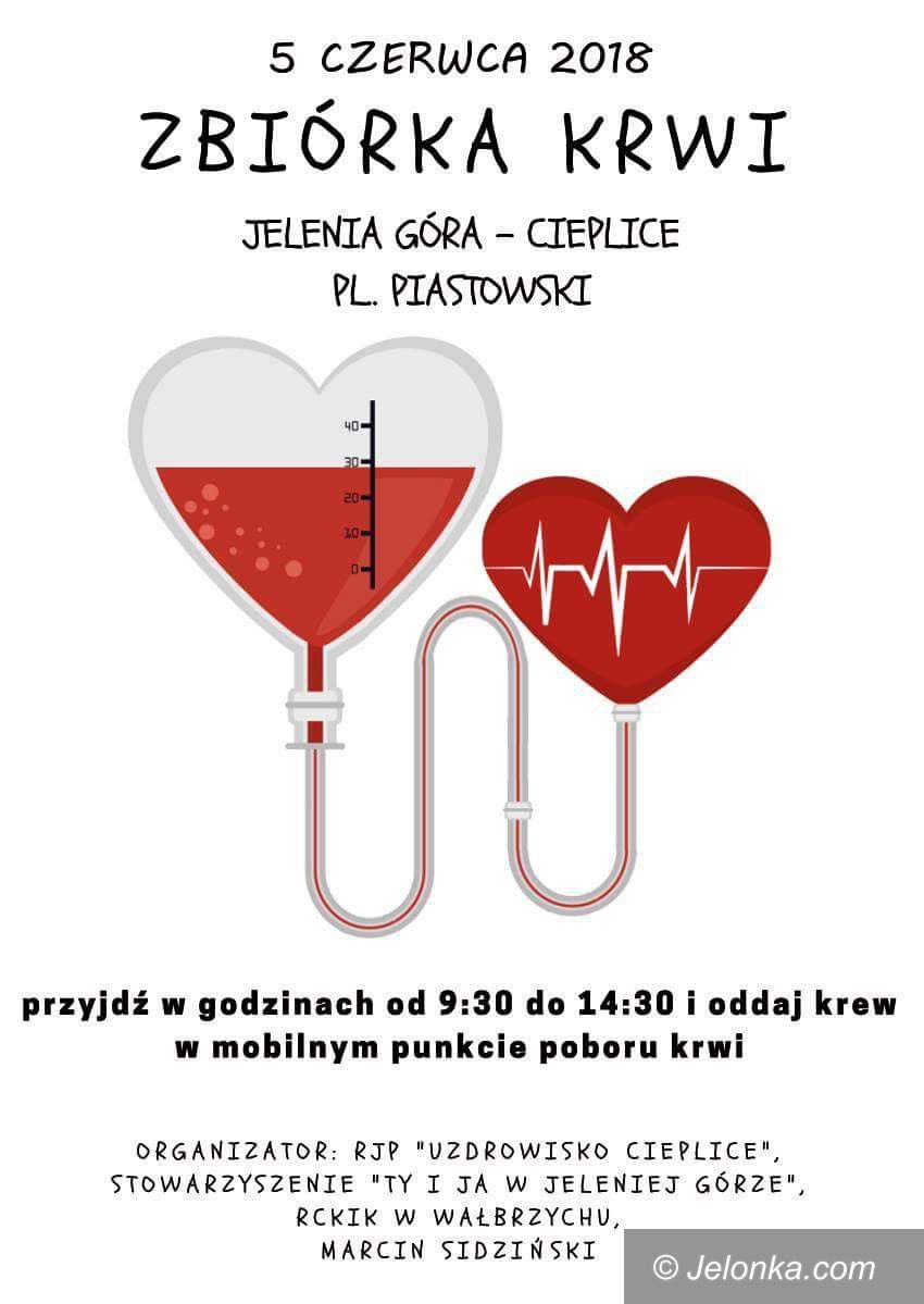 Jelenia Góra: Jutro zbiórka krwi