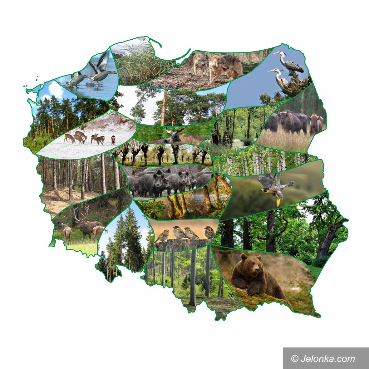 Region: „Przyrodnicze” nazwy miejscowości w regionie