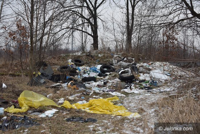 Jelenia Góra: Kto podrzuca śmieci?