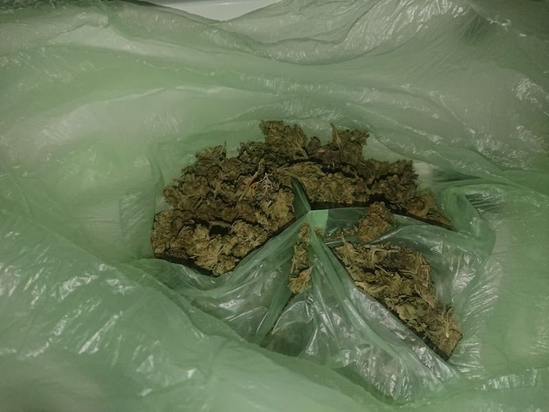 Jelenia Góra: Areszt za narkotyki