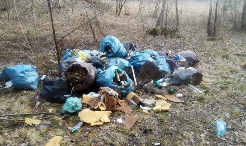 Jelenia Góra: Teren w śmieciach