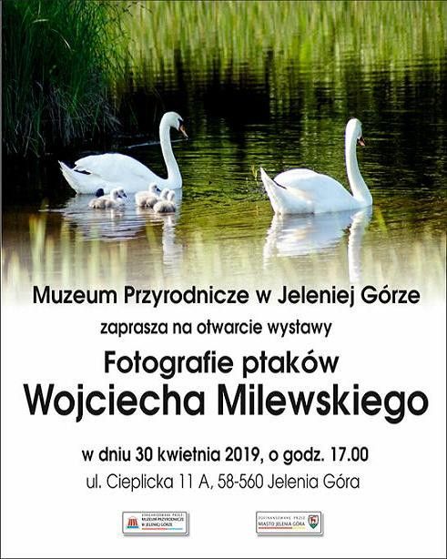 Jelenia Góra: Już jutro wernisaż wystawy fotografii Wojciecha Milewskiego