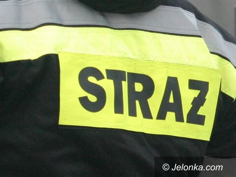 Łomnica: Spaliły się dwa auta w Łomnicy