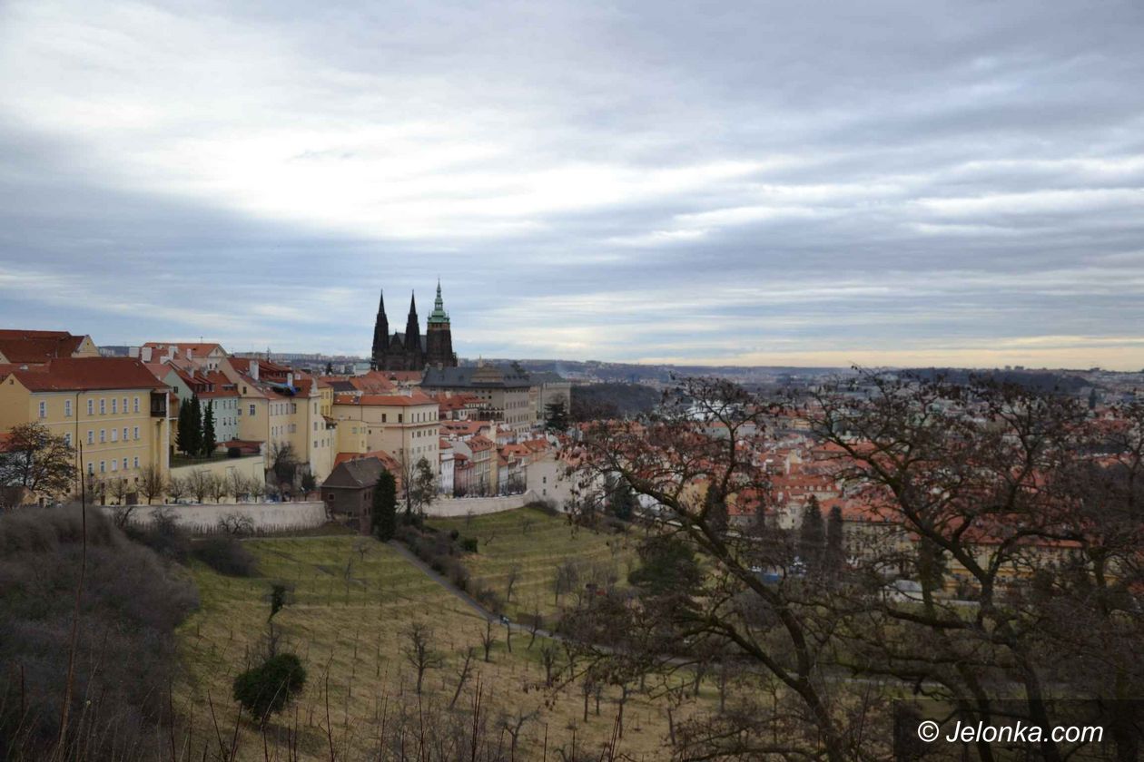 Praga: Dzień w Pradze