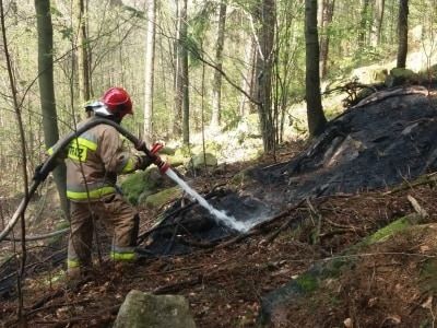 Karpacz: Pożar lasu w Karpaczu