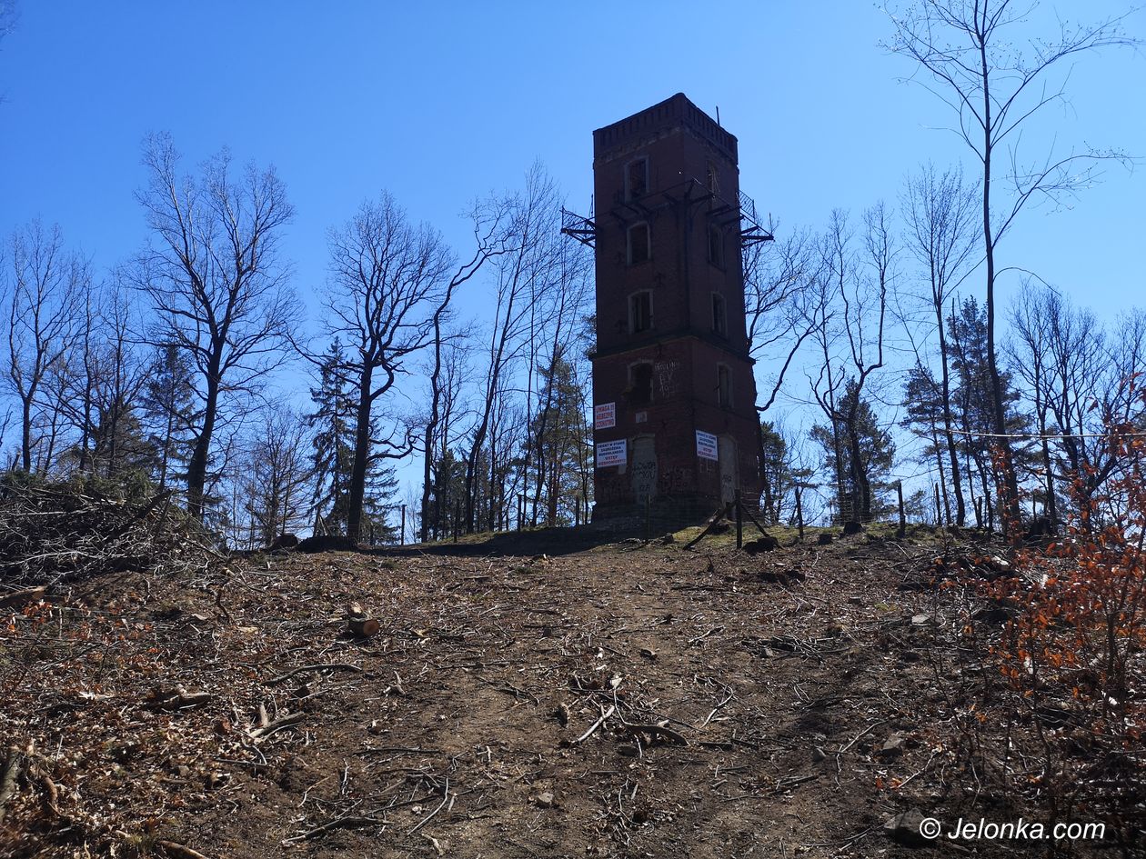 Jelenia Góra: Wieża na Sołtysiej Górze zostanie odnowiona