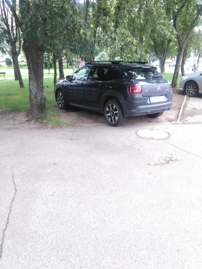 Jelenia Góra: Tak nie wolno parkować!