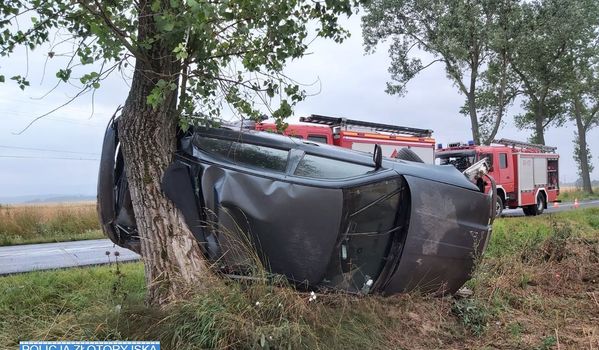 Złotoryja: Samochód uderzył w drzewo