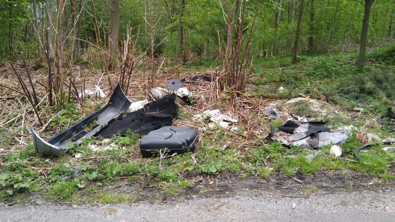 Polska: Droższe dzikie śmieci