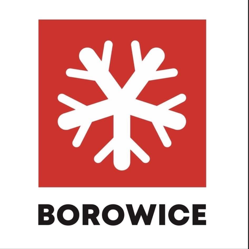 Borowice: Borowice mają logotyp