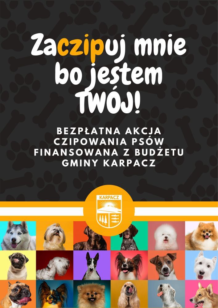 Karpacz: Bezpłatne czipy dla psów w Karpaczu