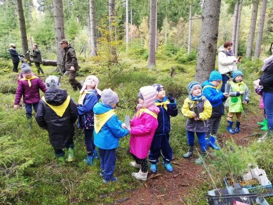 Szklarska Poręba: Dzieci sadziły drzewka