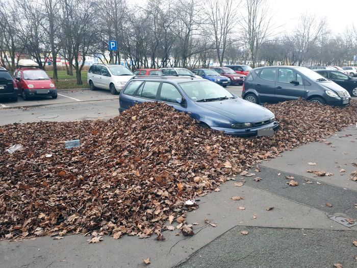 Jelenia Góra: Kto posprząta parking?