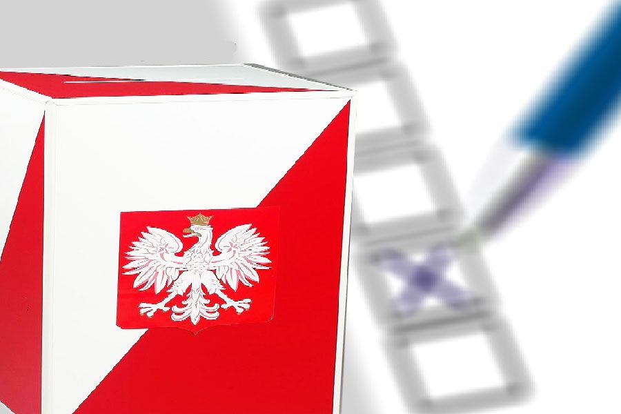 Gryfów Śląski: Oficjalni kandydaci